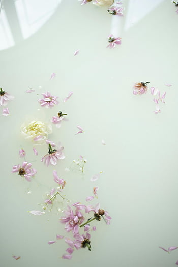 Bunga kamar mandi, Bunga ungu lembut, Pengaturan yang tenang, Bunga merah muda halus, Permukaan air yang tenang, adegan yang tenang, bunga mengambang, dekorasi kamar mandi, Mandi Bunga, Suasana seperti spa, suasana damai