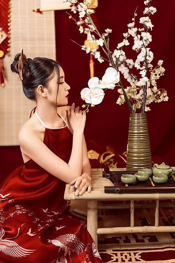 tet, månenytår, vietnamesisk kvinde, ao dai, vietnam, pige, traditionel kjole, tradition, vietnamesisk kultur