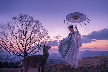 asian Woman, chinese Hanfu, hanfu, woman, girl, model, deer, japanese Woman, parasol, umbrella