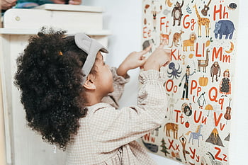 child learning, curly hair, animal alphabet poster, indoor learning, pointing letters, educational activity, young girl, alphabet chart, indoor education, learning letters, animal letters