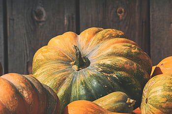 Oranžová a zelená squash, Podzimní tykve, dýně, podzim sklizeň, dřevěné pozadí, Barevná squash, detailní fotografie, sklizně, sezónní produkce, podzimní zelenina, rustikální pozadí