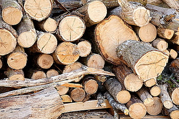 brown firewood, chopped logs, stacked wood, construction use, burning wood, close-up photo, firewood stack, natural wood, outdoor woodpile, firewood logs, firewood construction