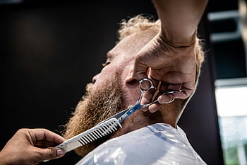 barber, trimming beard, scissors, comb, close-up, client, beard care, grooming, hair salon, facial hair, professional barbering