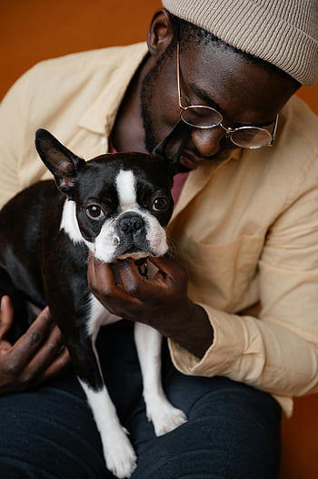 Black man, Boston Terrier, indoor backdrop, lovingly holds, orange background, man with dog, sitting on floor, glasses, beanie, pet owner, affectionate moment