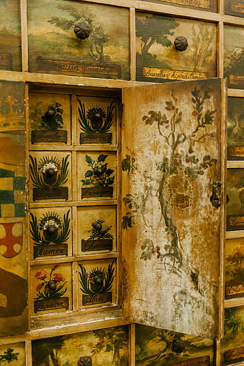 antique wooden cabinet, botanical illustrations, old fashioned drawers, detailed paintings, antique furniture, vintage decor, botanical art, wooden drawers, antique doors, vintage cabinet, detailed illustrations