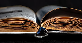 literatura, knihovna, znalost, kniha den, otevřená kniha, staré knihy, knihkupectví, univerzita, stará literatura, vinobraní, záložka do knihy