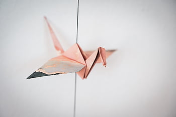 origami, paper, crane, folds, success, health, wish, hope, happiness