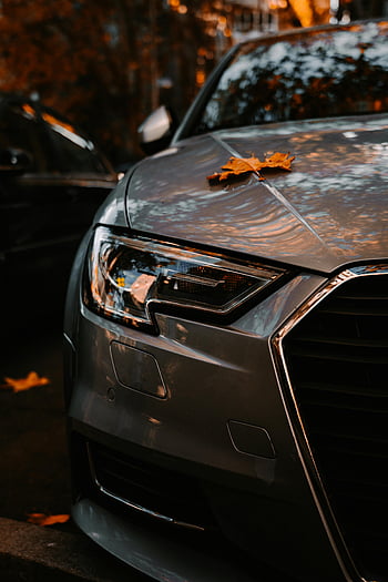 audi, oikea etuvalo, syksyn lehdet, syksy, auton huppu, ulkona pysäköinti, lähikuva, auton tiedot, kausivalokuva, ajoneuvon ulkopinta, luonto tausta