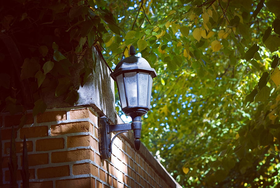 lamp, street, nature, leaves, trees, foliage, autumn, golden Autumn, things, maple Leaves