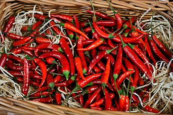 pepperoni, ostrý, zelenina, chilli, Červené, jídlo, chilli papričky, ostrost, lusky, ohnivý, jedlý