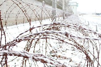 ลวดหนาม, ค่ายกักกัน, Sachsenhausen, กรุงเบอร์ลิน, สงคราม, ประเทศเยอรมัน, หิมะ, ฤดูหนาว