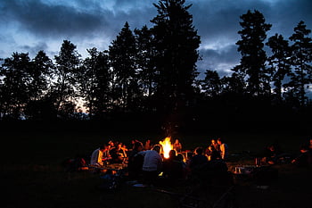 táborák, Příroda, lidé, les, skupina, noc, stromy, venku, oheň, temný, silueta