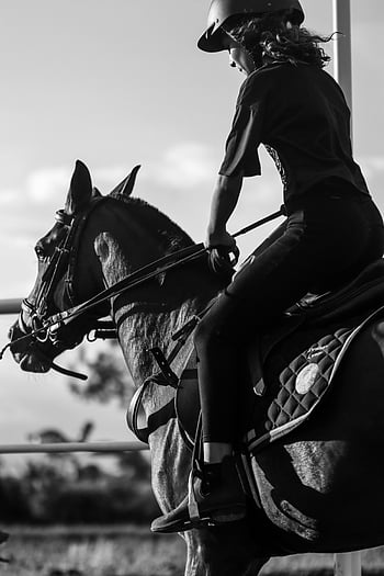 žena jezdecký kůň, černobílé fotografie, jezdecké sportovní umění, jízda na koni, Monochromatický obrázek, jezdkyně, jezdec na koni, jezdecký styl, jezdecký sport, dovednosti v jízdě na koni