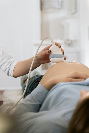 妊婦、 医療超音波、 臨床環境、 出生前のケア、 健康診断、 医師;医療従事者、 医療機器、 医療スキャン、 産科、 婦人科、 妊娠スキャン