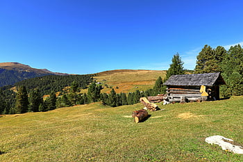 protokoly, chata, rustikální kabiny, Svěží lesy, kopce, trentino-alto adige, Itálie, pohled, venkov, venkovní, Příroda