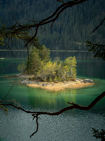 wysepka, jezioro, zalesione jezioro, drzewa iglaste, miłośnicy natury, Miłośnicy samotności, spokojna wysepka, naturalna sceneria, widok na jezioro, zalesiona wysepka, spokojny krajobraz