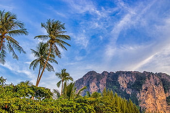 thailand, palm Trees, summer, island, tourism, beach, holiday, sky, the Coast, landscape, the Sun
