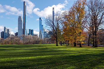 中央公園、 ニューヨーク、 マンハッタン、 パーク、 スカイライン、 高層ビル、 建物、 塔、 秋
