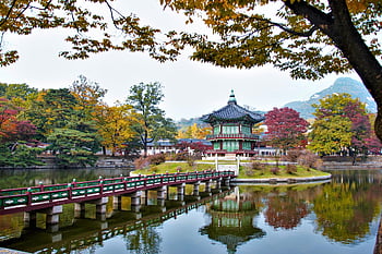 Pavilon Hyangwonjeong, pavilon, rybník, pagoda, odraz, budova, historický, mezník, turistická atrakce, kulturních statků, turistická destinace