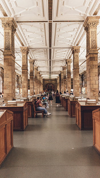 muzeum přírodní historie, Londýn, interiér, Velké sloupce, elegantní, návštěvníků, muzeum, architektura, historický, exponáty, vitríny