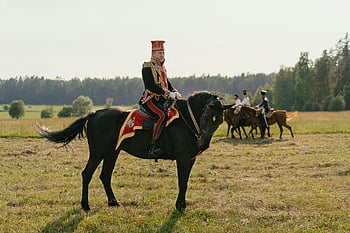 soldier, black horse, cavalry soldier, vintage uniform, napoleonic reenactment, grassy field, horseback, reenactment, military history, historical reenactment, uniform