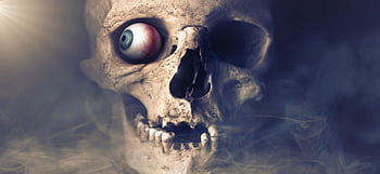 skull, halloween, gruesome, scary, grim, eye, skull And Crossbones, horror, bone, dark, light