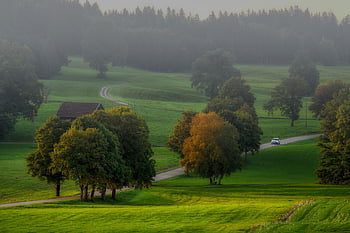Příroda, venkov, venku, cestovat, průzkum, venkovský, louka, kopec, pole, silnice, stromy