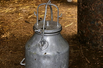 mléko může, zemědělství, umět, hospodářský dvůr, mléko, kravské mléko, plavidlo, kov, Mléčné výrobky, statek, venkovský
