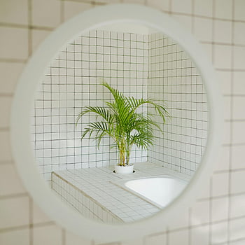 Badezimmer Interieur, weiße Fliesen, Topfpflanze, runder Spiegel, zeitgemäßes Design, grünblättrige Pflanze, weißer Topf, Zimmerpflanze, modernes Badezimmer, Fliesenwand, minimalistisches Dekor