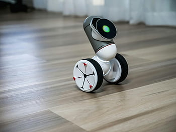 giocattolo robot, bianco e nero, robot con ruote, interfaccia digitale, pavimento di legno, robot moderno, foto ravvicinata, robot giocattolo, impostazione interna, giocattolo tecnologico, robot interattivo