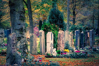 graveyard, forest, forest Cemetery, dig, tombstones, funeral, trees, nature, grief, tomb, mood