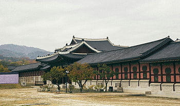 Gyeongbokgung Palace, South Korea, Korean traditional architecture, historic Seoul palace, grandeur, traditional building, cultural heritage, ancient architecture, palace grounds, Seoul landmark, Korean history