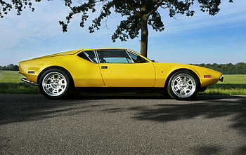 yellow sports car, vintage yellow convertible, parked near tree, green leafed tree, sunny rural road, classic design, yellow car, rural setting, outdoor scene, classic vehicle, sunny day
