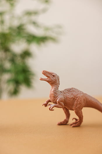 hračka dinosaurus, detailní záběr, Vzdělávací témata, hravá témata, Podrobný výstřel, postava dinosaura, zobrazení tabulky, Prehistorické stvoření, Vnitřní nastavení, vzdělávací hračka