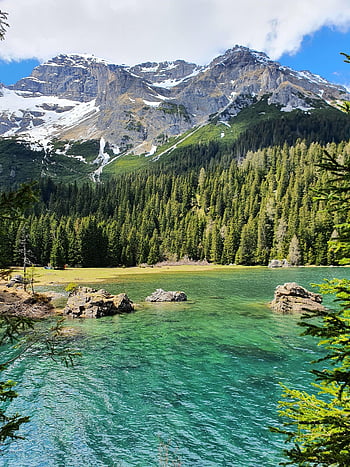 lago, montagne, alberi, valle, foresta, acqua, catena montuosa, natura, scenario, panoramico, tirolo
