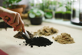soil, desk, hand, small shovel, sorting, different soil types, table, close-up, gardening, indoor plants, soil analysis