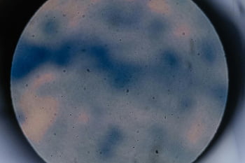 顕微鏡、 抽象的なぼかし、 カラフルな形、 拡大されたビュー、 実験室、 研究、 科学、 視覚科学、 光学の、 微生物学、 倍率