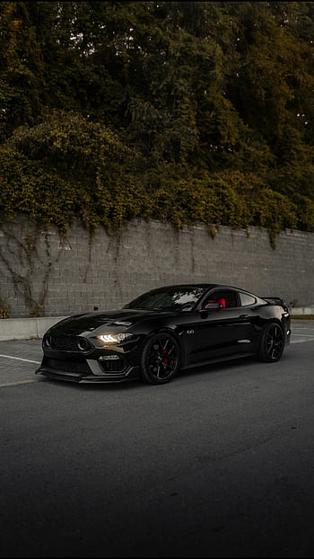 マスタングgt、 ブラックマスタング、 スタイリッシュな車、 駐車中の車、 静かな通り、 ナッシュビルtn、 スポーツカー、 黒い車、 マスタング、 車の写真、 路上駐車