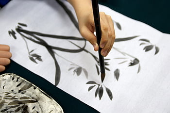malování inkoustem, Inkoust a mytí, Sumie, orchidej, třída, praxe, umění, malování, výkres, vzdělání, student