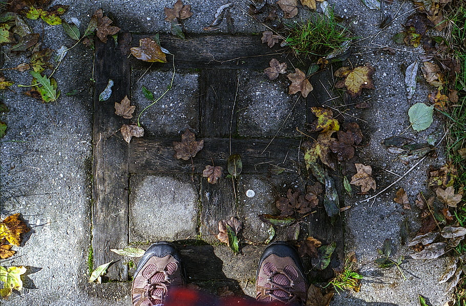 film, chinon, 35 mm, kodak, portra, 800, 1.7, procházka v lese, podzimní listí, obuv, přízemní