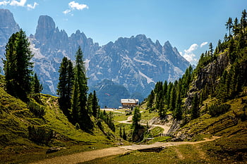 brown path, green pine trees, mountain landscape, outdoor scenery, nature trail, forest path, alpine view, scenic route, natural beauty, hiking trail, mountain backdrop