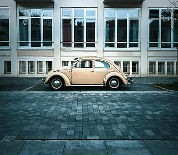 Maggiolino Volkswagen beige d'epoca, macchina classica, vista laterale, parcheggiata, costruzione, macchina vintage, volkswagen beetle, auto beige, Volkswagen classico, automobile d'epoca, auto parcheggiata