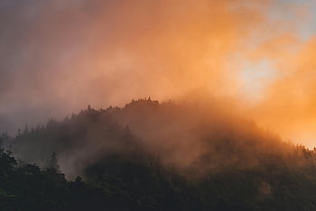 misty mountain, foggy sunset, mountain landscape, mystical scene, sunset view, fog enveloping, mountain mist, breathtaking view, natural scenery, mountain sunset, forested mountain
