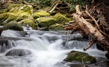 corriente, Arroyo, río, bosque, agua, cascada, naturaleza, torrente, en cascada, larga exposición