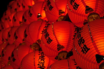 red Chinese lanterns, close-up photography, glowing red lanterns, Chinese lanterns calligraphy, celebration tradition, Chinese lanterns, red lanterns, close-up shot, lanterns calligraphy, Chinese celebration, Chinese tradition