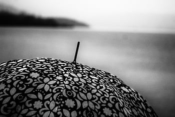 rain, nature, umbrella, misery, miserable Day, torrential, rainy, raining, bad Weather, gray Rain, gray Umbrella