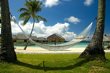 fehér függőágy, strand jelenet, bungalók, pálmafák, napos nap, pihentető strand, trópusi tengerpart, függőágy a tengerparton, tengerparti nyaralás, tengerparti üdülő, óceáni kilátás