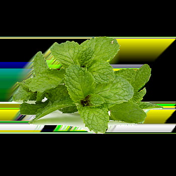mint, peppermint, green, health, healthy, healing, herbs, leaves, aroma, drink, taste