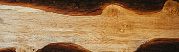strom log, detail, kmen stromu, dřevo, textura, zřetelné uzly, přírodní dřevo, texturu dřeva, kůra stromu, povrch dřeva, dřevodekoru