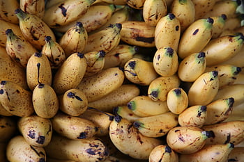 ripe yellow bananas, brown spots, vibrant bunch, ripe bananas, healthy eating, tropical vibes, banana spots, yellow bananas, banana bunch, tropical fruit, healthy fruit